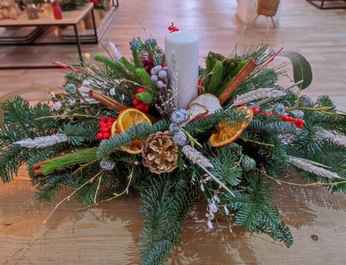 Conjuntos de Plantas de Navidad: La Magia de la Naturaleza para Celebrar las Fiestas